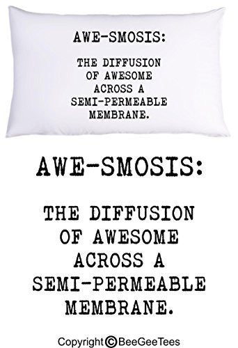 The AWESOME Pillowcase Collection by BeeGeeTees® (1 Queen Pillowcase)